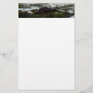 Sunset Lit Harbour Siegel II in San Diego Briefpapier