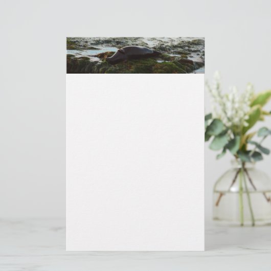 Sunset Lit Harbour Siegel II in San Diego Briefpapier (Stehend Vorderseite)