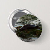 Sunset Lit Harbour Siegel II in San Diego Button (Vorne & Hinten)