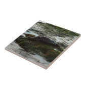 Sunset Lit Harbour Siegel II in San Diego Fliese (Seite)