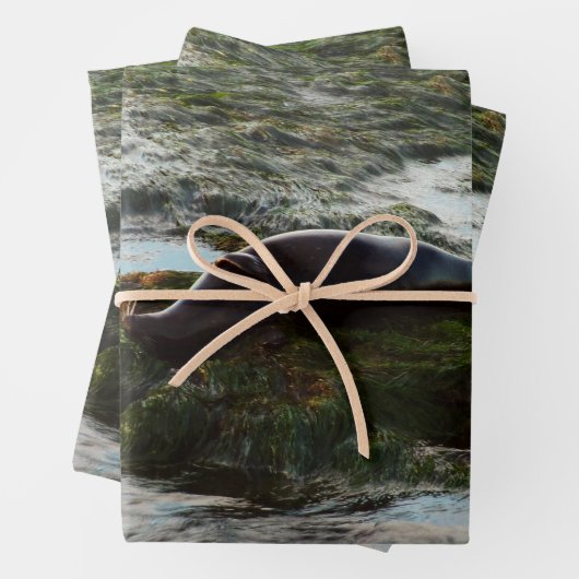 Sunset Lit Harbour Siegel II in San Diego Geschenkpapier Set (Beispiel)