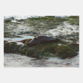 Sunset Lit Harbour Siegel II in San Diego Geschenkpapier Set (Vorderseite 3)