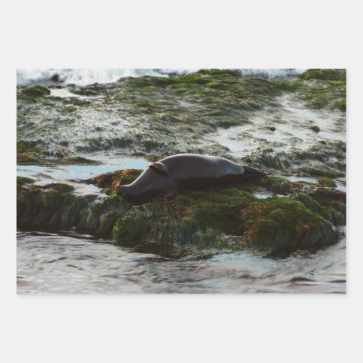 Sunset Lit Harbour Siegel II in San Diego Geschenkpapier Set (Vorderseite 3)