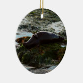 Sunset Lit Harbour Siegel II in San Diego Keramikornament (Rechts)