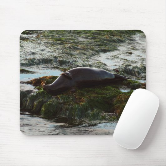 Sunset Lit Harbour Siegel II in San Diego Mousepad (Mit Mouse)