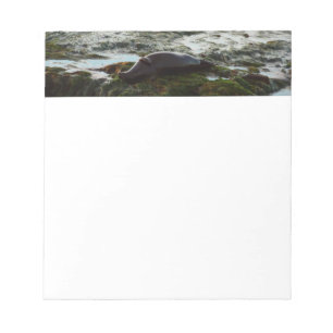 Sunset Lit Harbour Siegel II in San Diego Notizblock