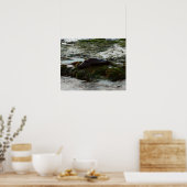 Sunset Lit Harbour Siegel II in San Diego Poster (Küche)