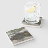 Sunset Lit Harbour Siegel II in San Diego Steinuntersetzer (Seitenansicht)