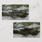 Sunset Lit Harbour Siegel II in San Diego Visitenkarte (Vorne/Hinten)