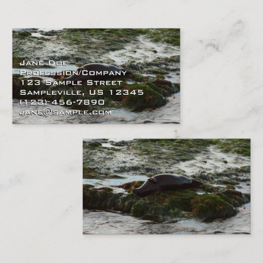 Sunset Lit Harbour Siegel II in San Diego Visitenkarte (Vorne/Hinten)