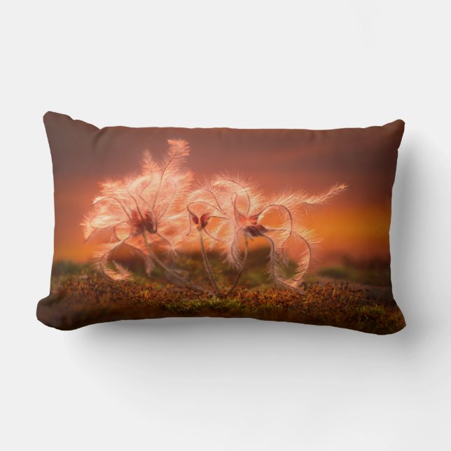 Sunset Macro Nature Scene of Moss and Plant  Lendenkissen (Vorderseite)