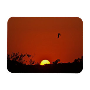 Sunset Magnet