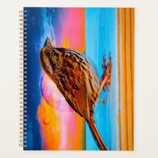 Sunset Melody Planer (Vorderseite)