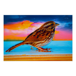 Sunset Melody Poster