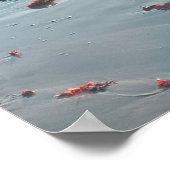 Sunset Mendocino Strand Poster (Ecke)