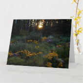 Sunset Mitte September Gardens Karte (Gelbe Blume)