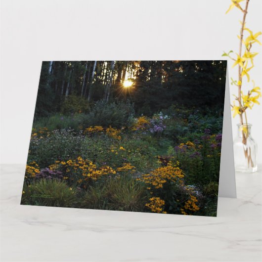 Sunset Mitte September Gardens Karte (Gelbe Blume)