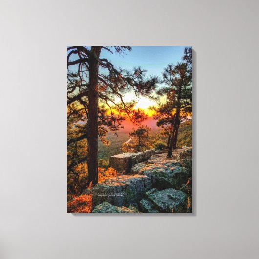 Sunset Mogollon Rim Arizona Pine Trees 18x24 Leinwanddruck (Vorderseite)