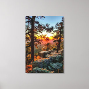Sunset Mogollon Rim Arizona Pine Trees 24x36 Leinwanddruck