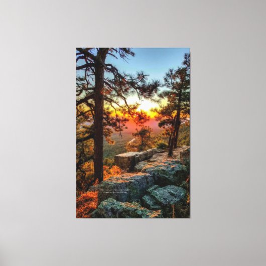 Sunset Mogollon Rim Arizona Pine Trees 40x60 Leinwanddruck (Vorderseite)