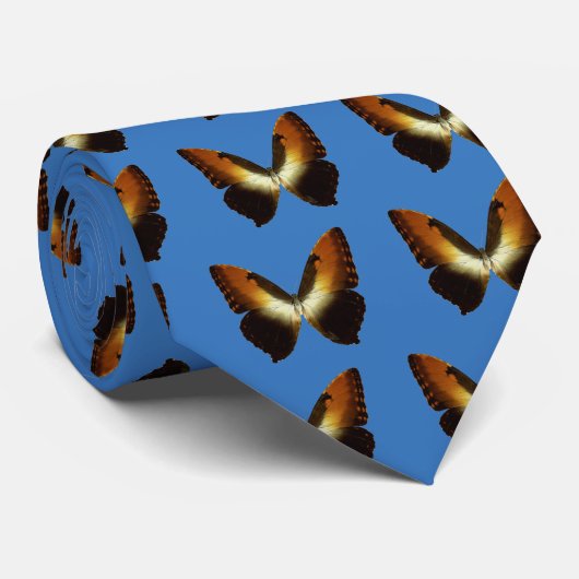 Sunset Morpho (Morpho hecuba) Krawatte (Gerollt)