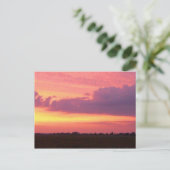 Sunset, my 2004 photo postkarte (Stehend Vorderseite)