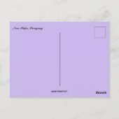 Sunset Near Itape Paraguay Postkarte (Rückseite)