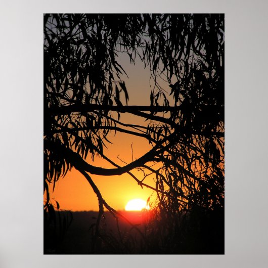 SUNSET NEST Poster (Vorne)