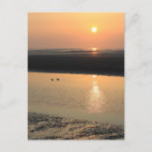 Sunset - Neue Helligkeit Postkarte (Vorderseite)