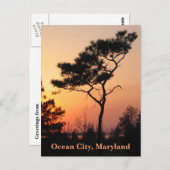 Sunset Ocean City Postcard Postkarte (Vorne/Hinten)