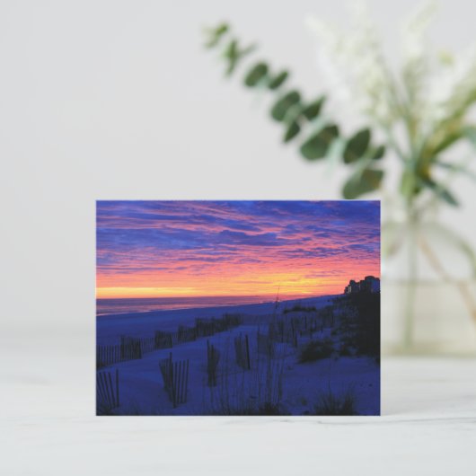 Sunset on Alabama's Beaches Postkarte (Stehend Vorderseite)