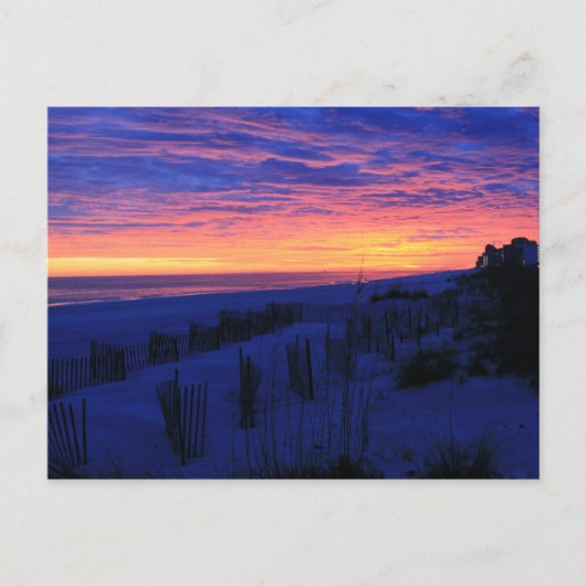 Sunset on Alabama's Beaches Postkarte (Vorderseite)