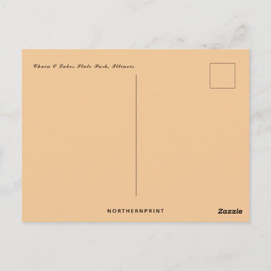 Sunset on Chain O Seen Staat Parco Civico-Ciani Postkarte (Rückseite)