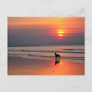 Sunset on Irish Sea Postcard Postkarte