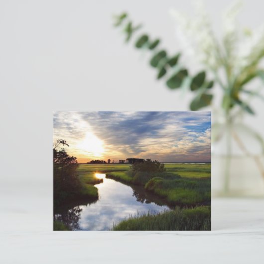 Sunset on Marsh Bombay Hook Deleware Postkarte (Stehend Vorderseite)