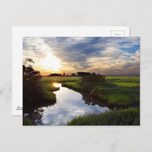 Sunset on Marsh Bombay Hook Deleware Postkarte (Vorne/Hinten)