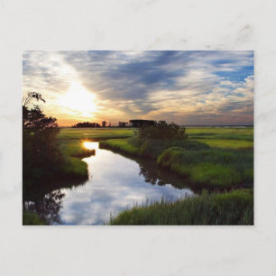 Sunset on Marsh Bombay Hook Deleware Postkarte