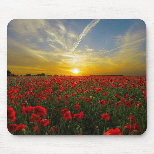 Sunset on Poppyfield - HAMbyWhiteGlove Mousepad (Vorne)