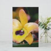Sunset Orchid Briefpapier (Stehend Vorderseite)