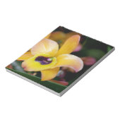 Sunset Orchid Notizblock (Rotiert)