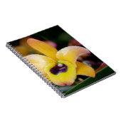 Sunset Orchid Notizblock (Rechte Seite)