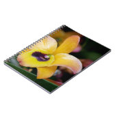 Sunset Orchid Notizblock (Linke Seite)