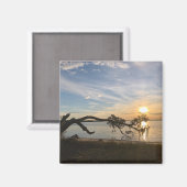 Sunset Over East Bay Magnet (Vorderseite/Rückseite)