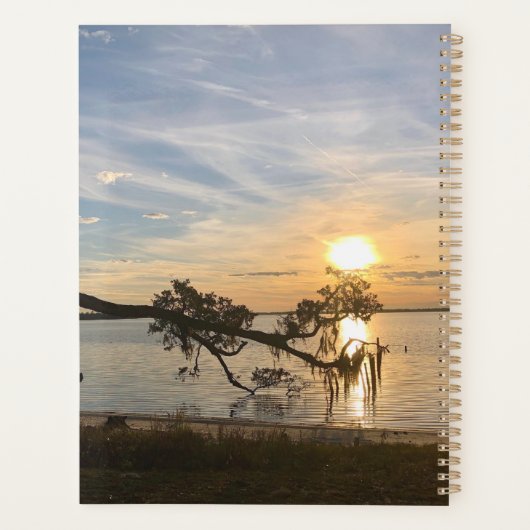 Sunset Over East Bay Planer (Rückseite)