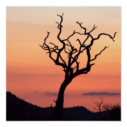 Sunset over Madikwe Poster (Vorderseite)