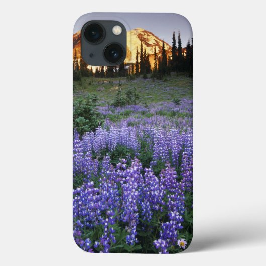 Sunset over Mt. Adams and a sub-alpine meadow Case-Mate iPhone Hülle (Rückseite)