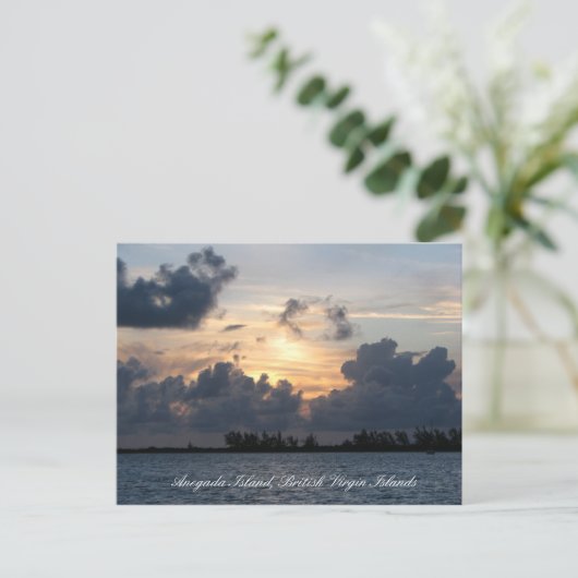 Sunset over Pomato Point Postkarte (Stehend Vorderseite)