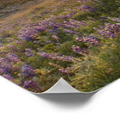 Sunset over the Bitterroot Mountains and vast Poster (Ecke)