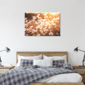 Sunset Oxeye Daisies Leinwanddruck (Insitu (Schlafzimmer))