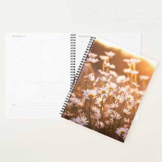 Sunset Oxeye Daisies Planer (Anzeige)